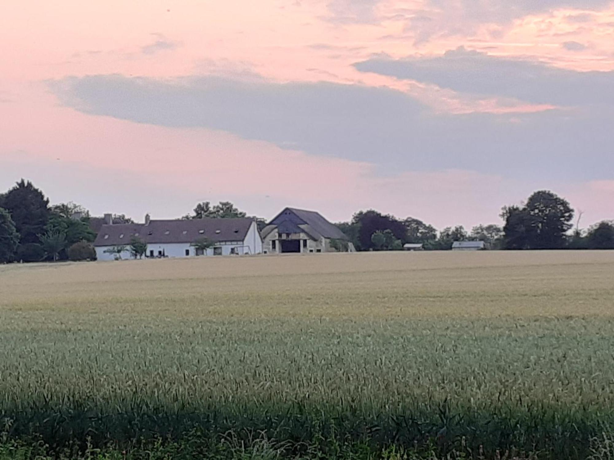 Gite Et Chambre D'Hotes Du Guillot Sainte-Solange Esterno foto