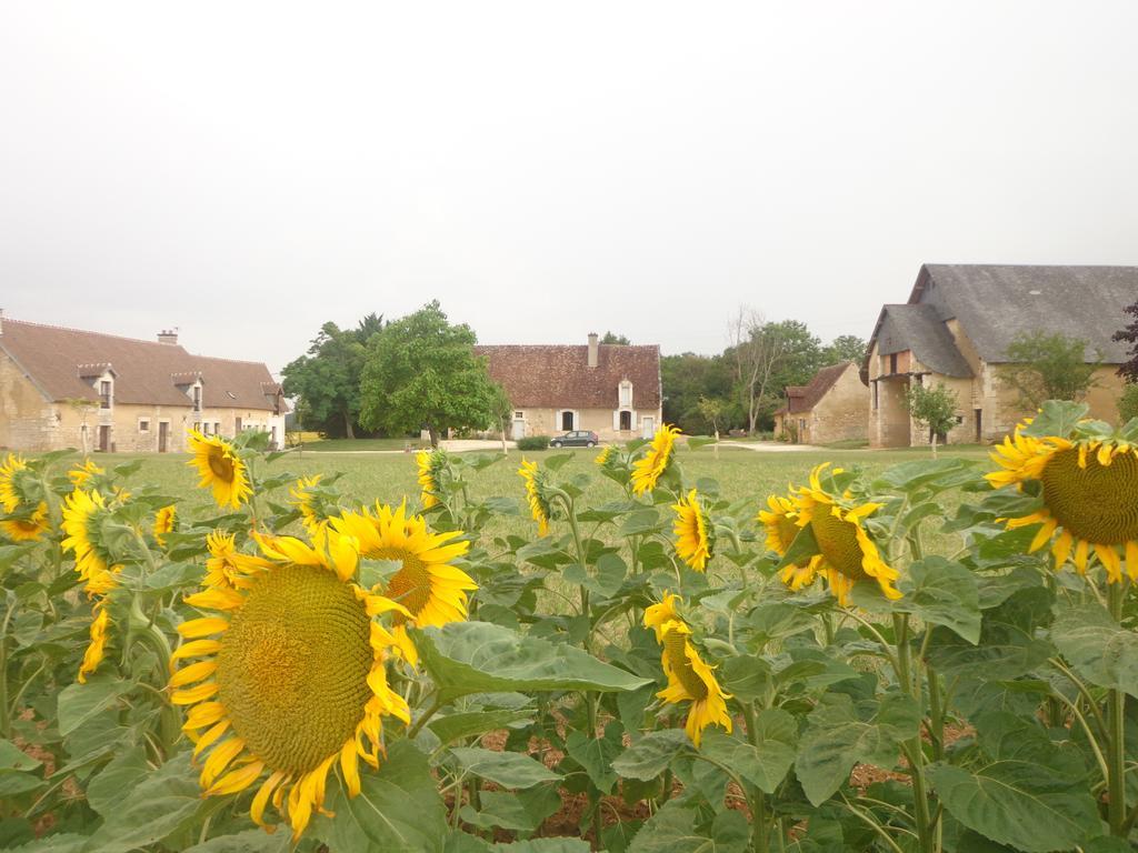 Gite Et Chambre D'Hotes Du Guillot Sainte-Solange Esterno foto